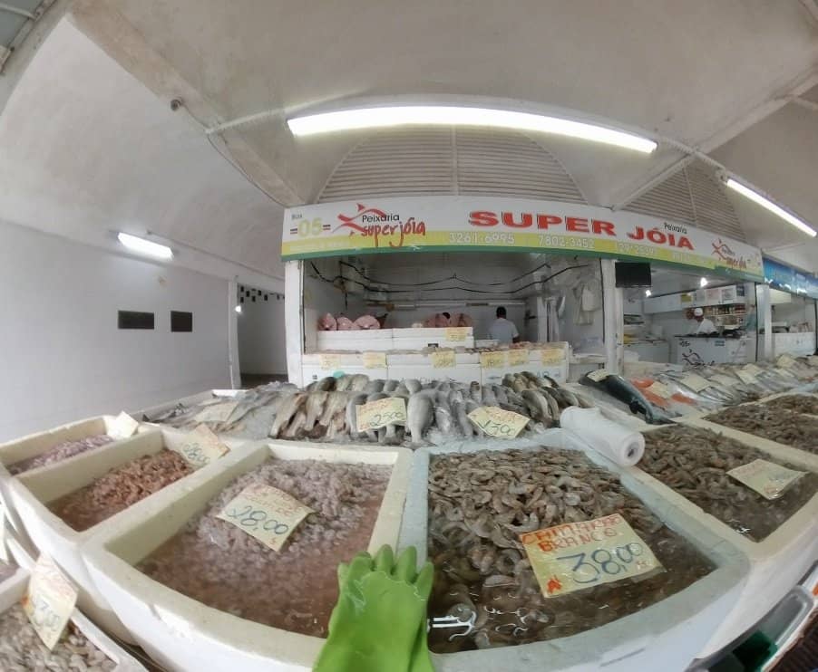 Seafood Festivals