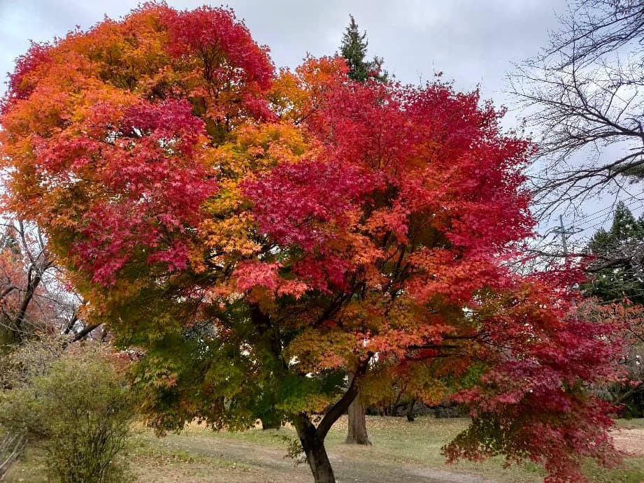 Mizusawa Kannon Temple