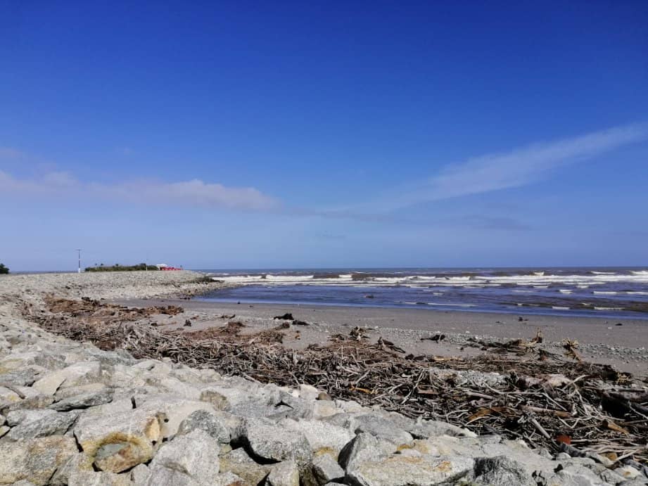 Dog-Friendly Freedom