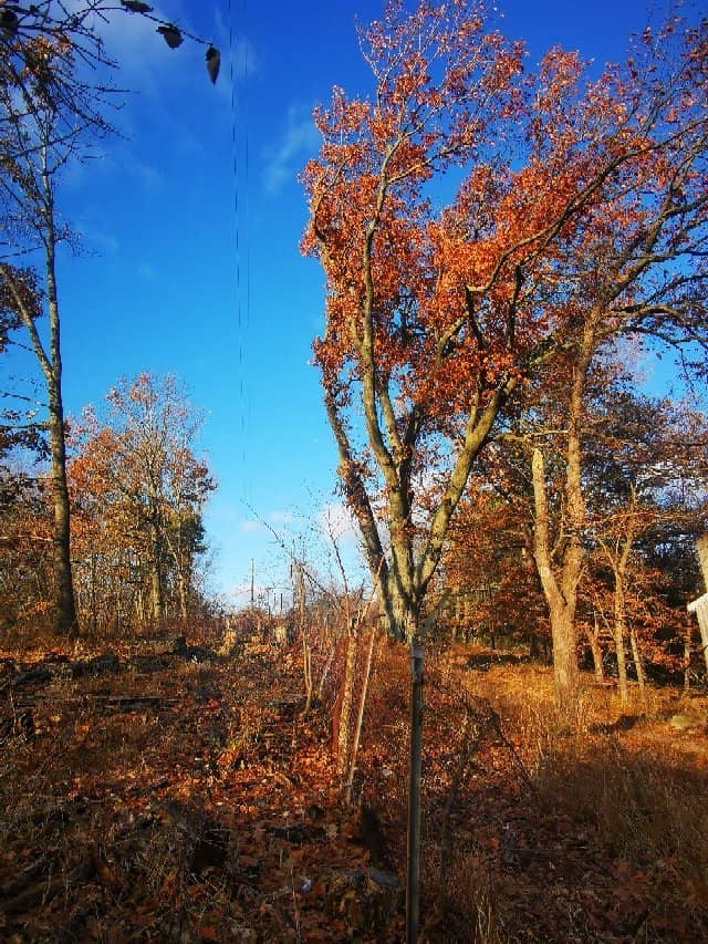 Pristine Nature Trails