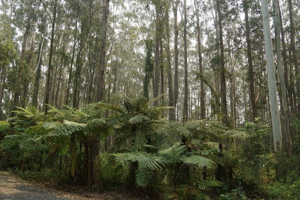 Bonville Beach Serenity