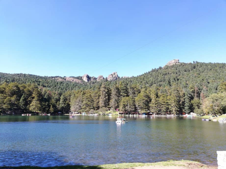 Vertical photo