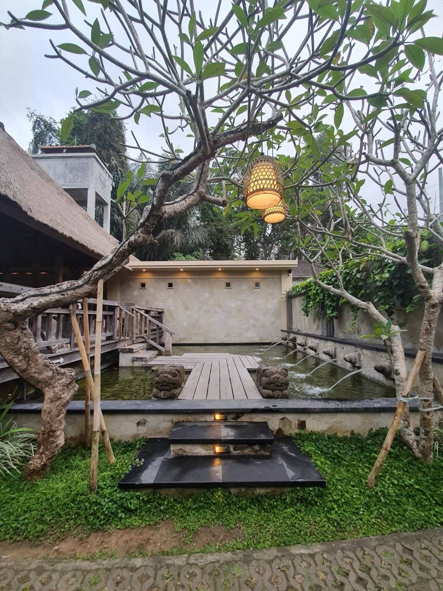 Serene Jungle and River Views