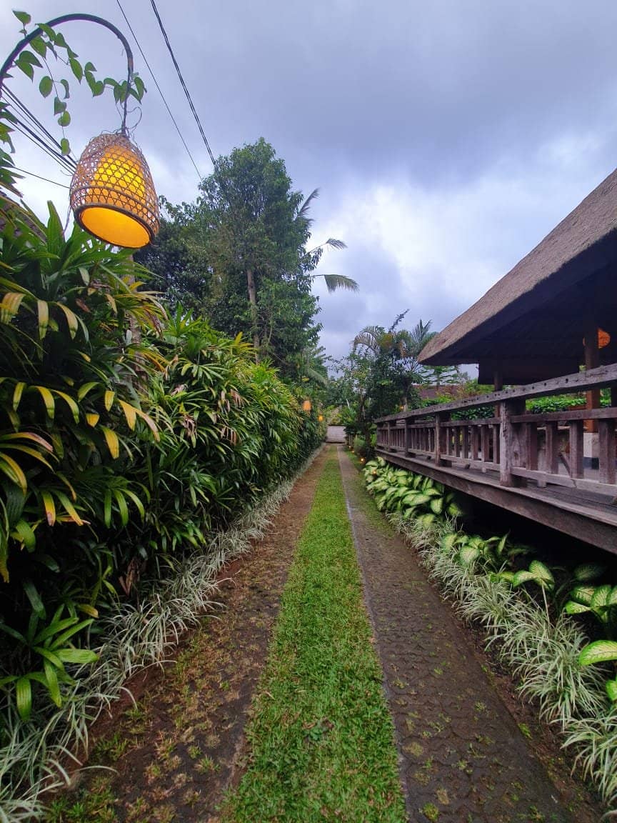 Luxurious Spa Packages