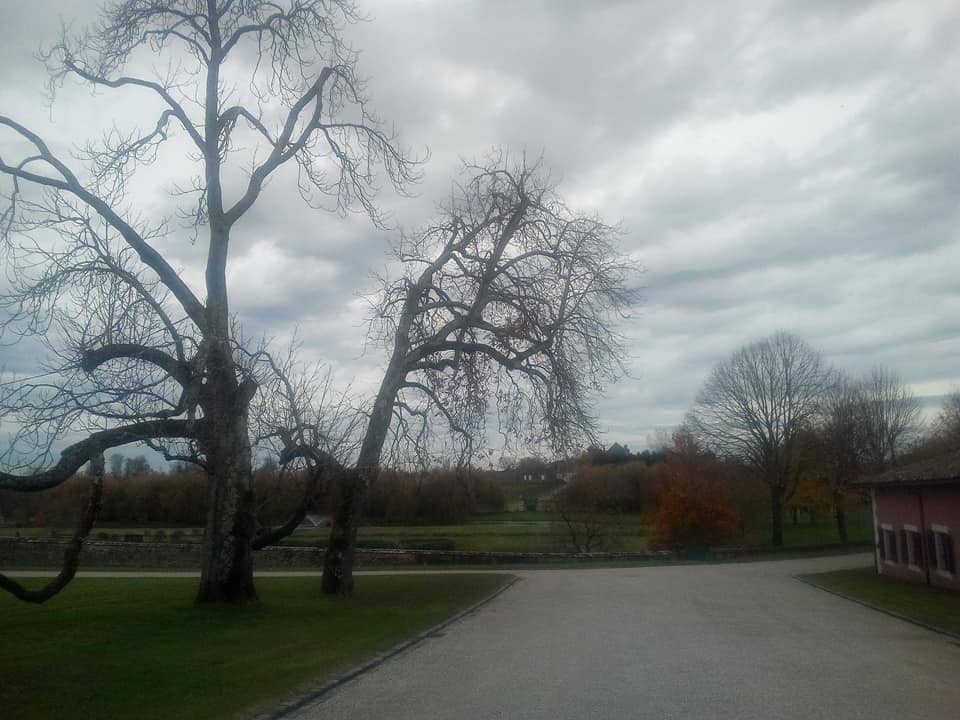 Exclusive Wine Tastings