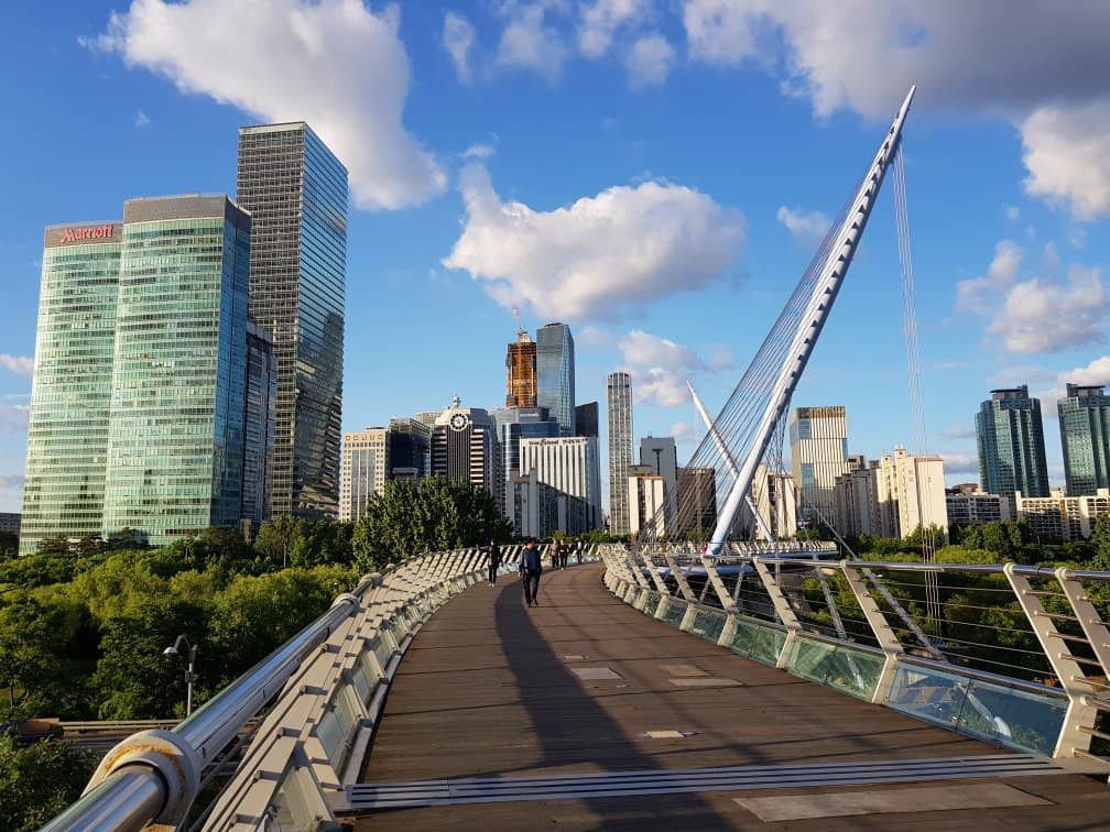 Riverside Cherry Blossom Path