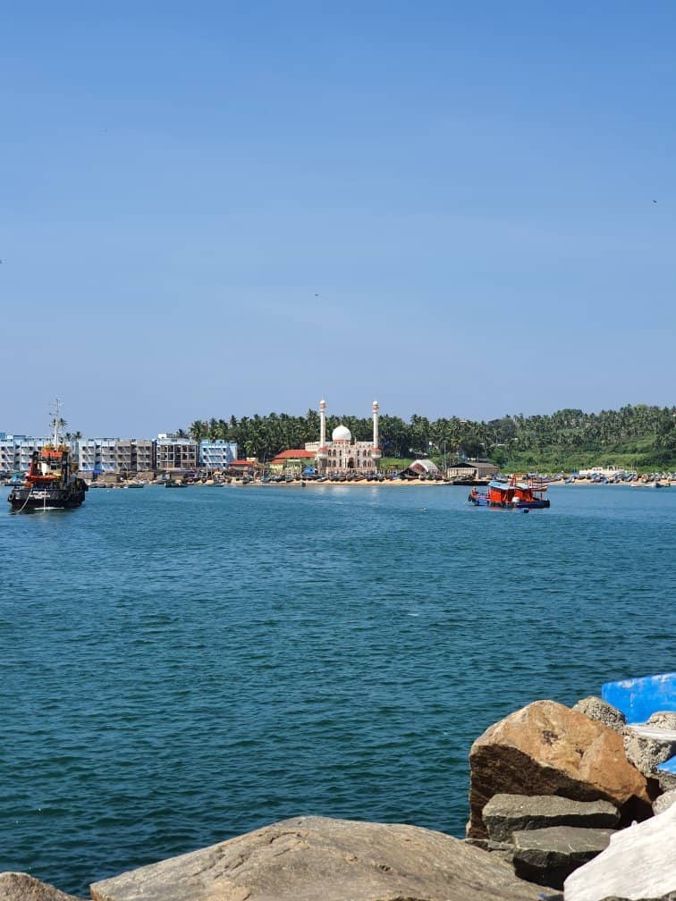 Photography Opportunities