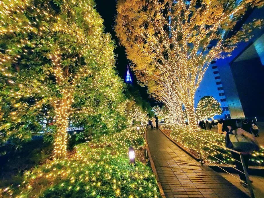 Illuminated Terrace
