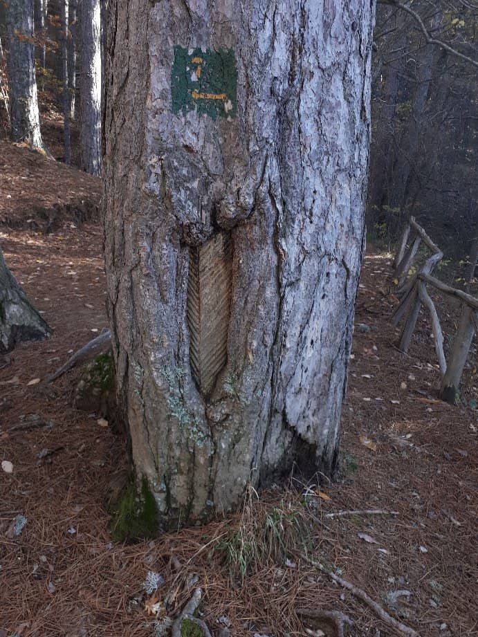 Monte Botte Donato