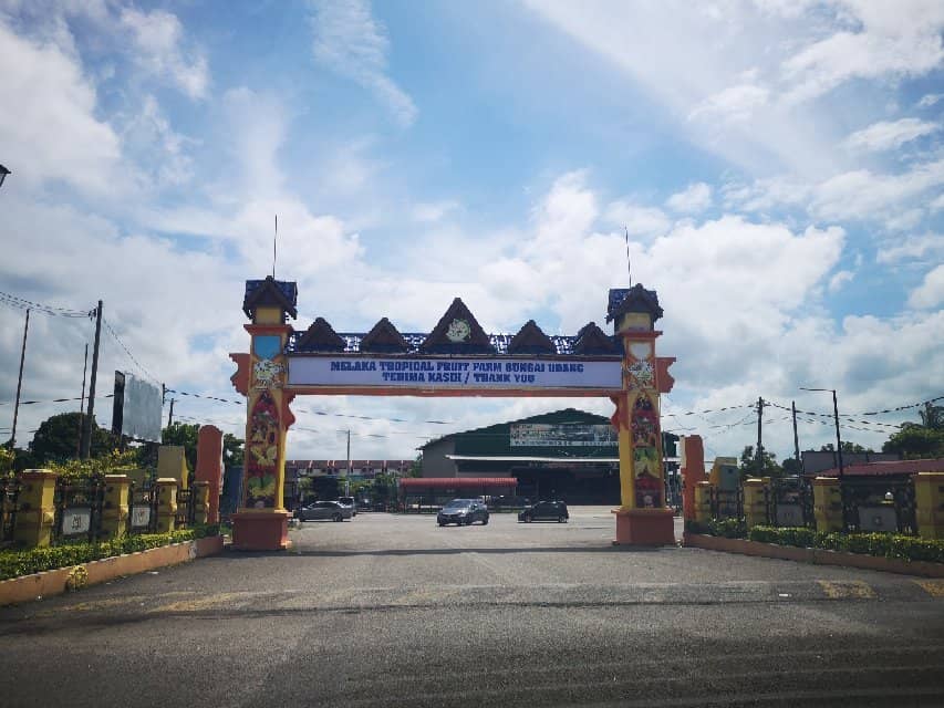 Kayaking on the Lake