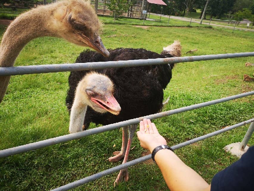 Scenic Bicycle Paths