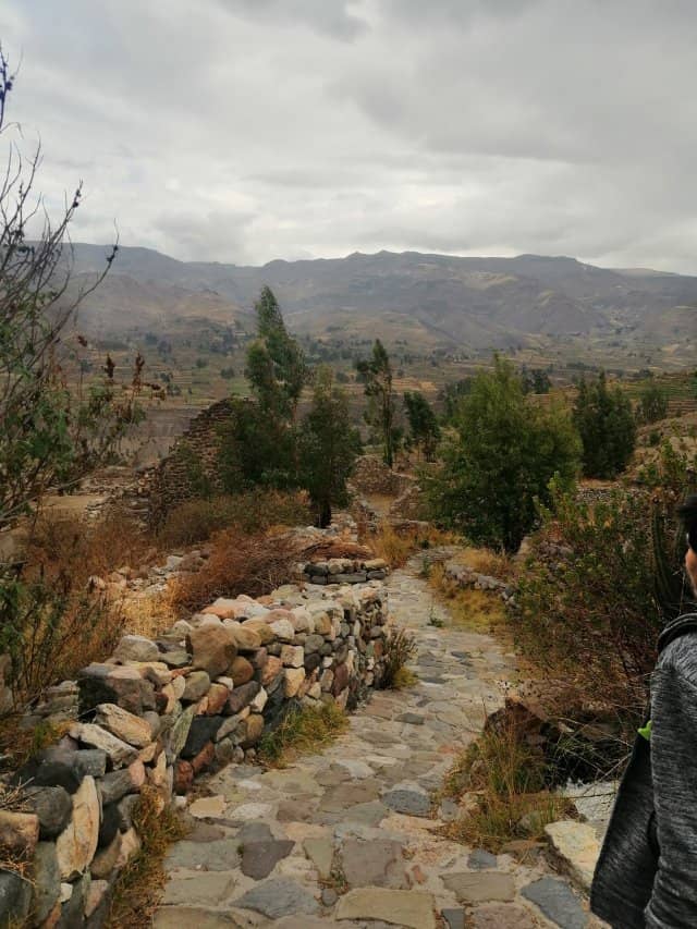 Scenic Hike