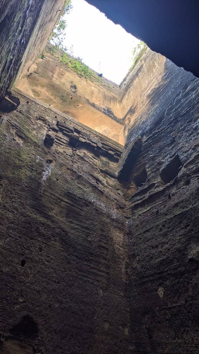 Vertical photo