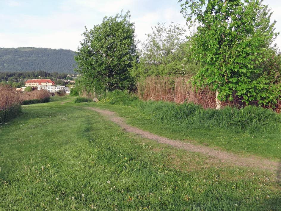 Waterside Relaxation