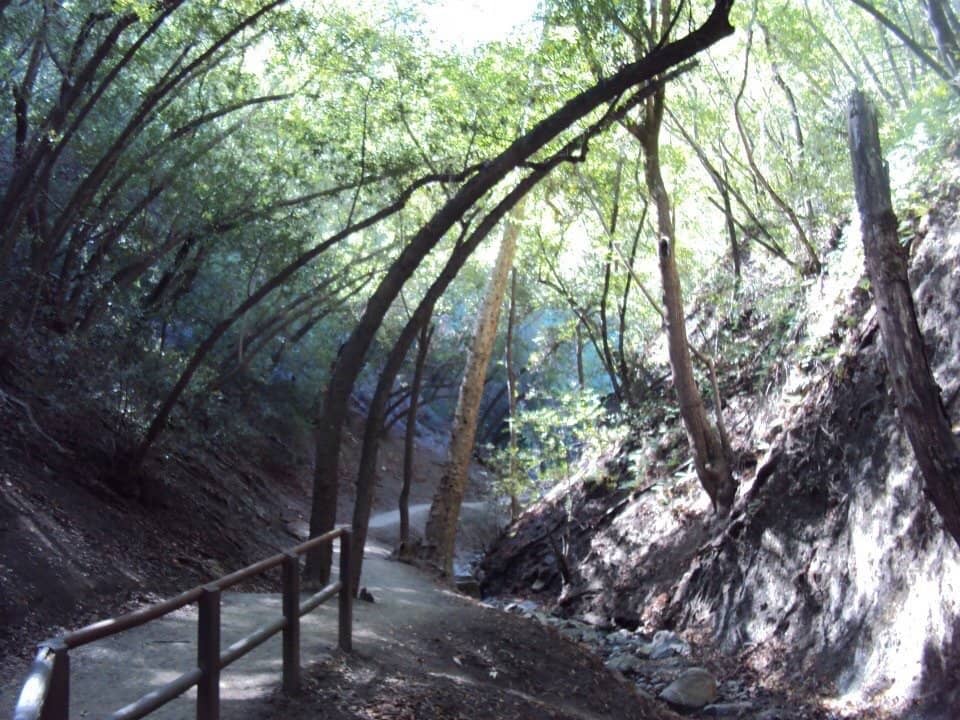Vertical photo