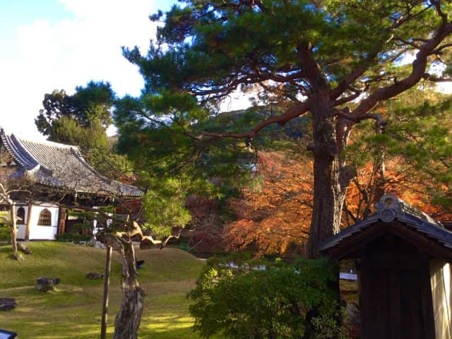 Entoku-in Garden