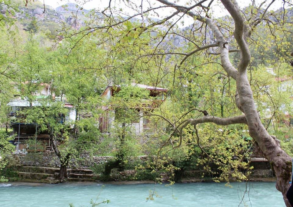 Refreshing Swimming Spot