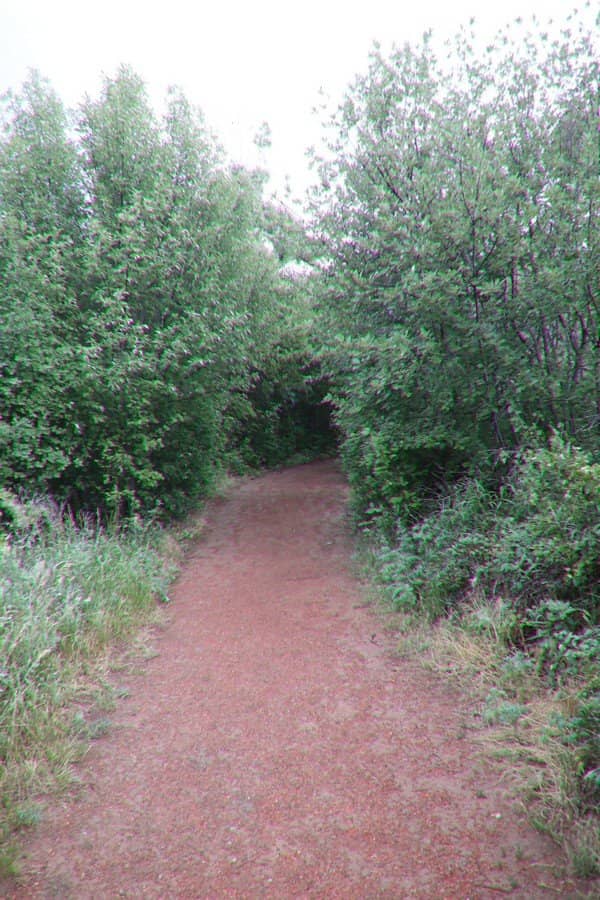 Vertical photo