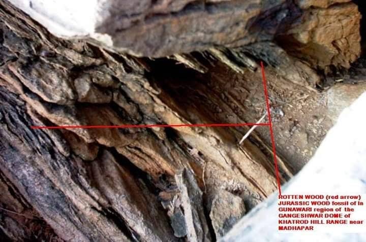 Unique Desert Landscape