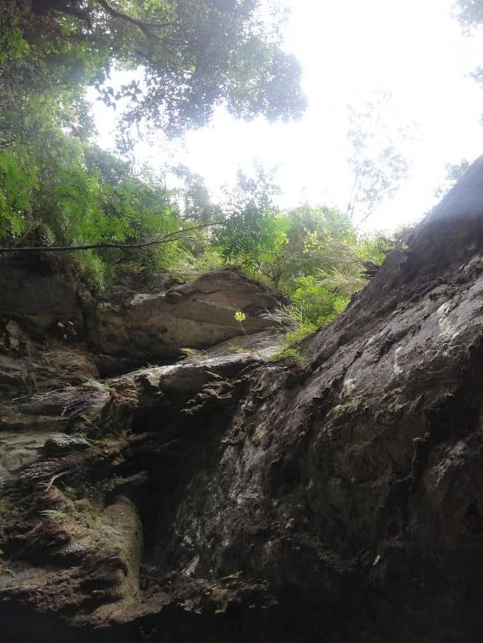 The Thrilling Cave Connection