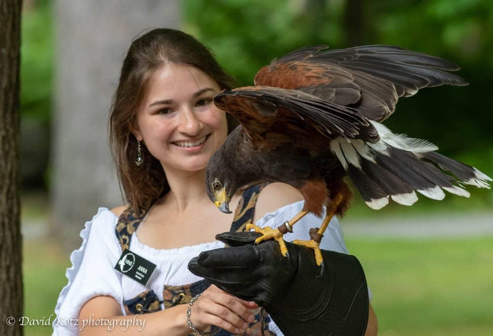 Raptor Aviary