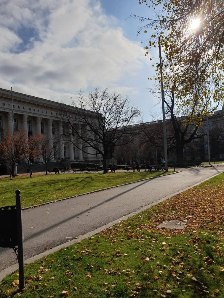 Serene Study Atmosphere