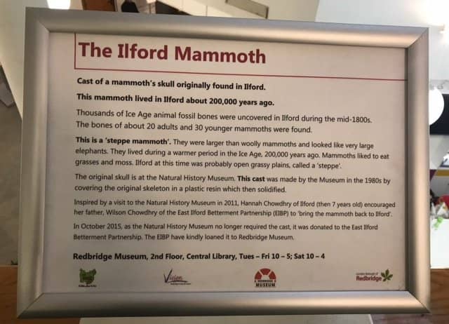 Mammoth Bones & Roman Links