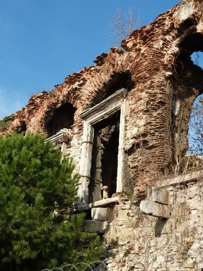 Vertical photo
