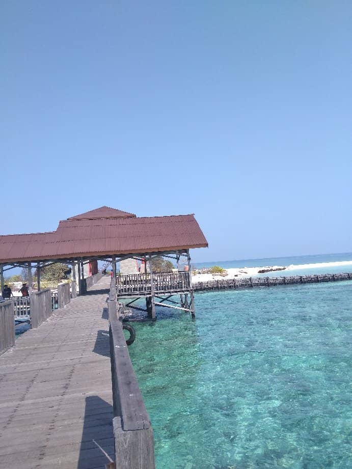 Vibrant Underwater World