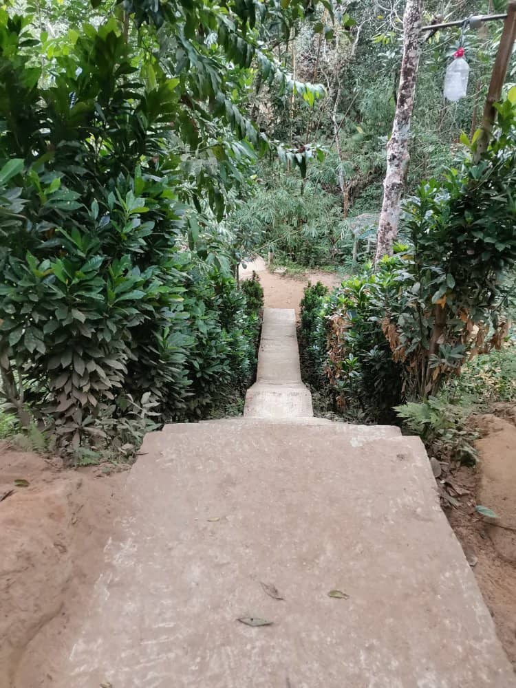 Attractive Hiking Trails