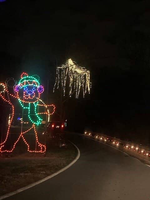 The Blair Witch Woods