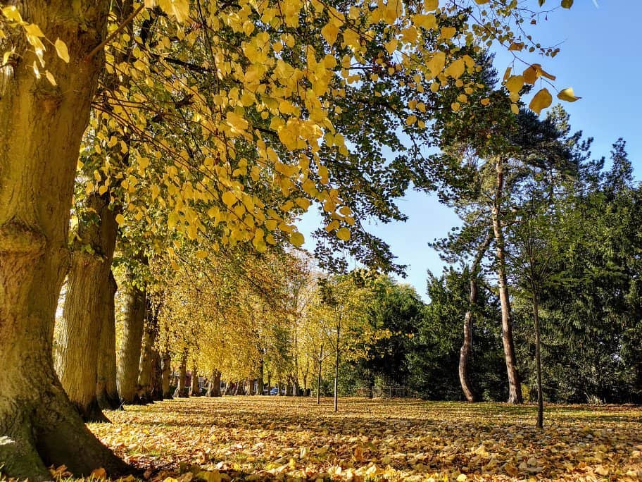 Open Green Spaces