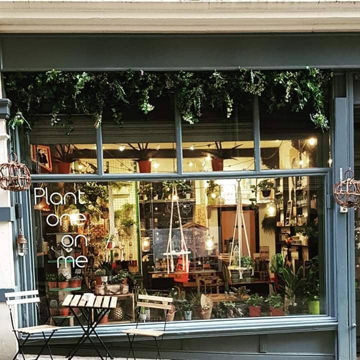 Atmospheric Evenings