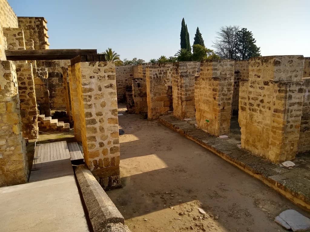 The Museum
