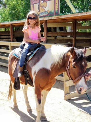 Seasonal Fun & Activities