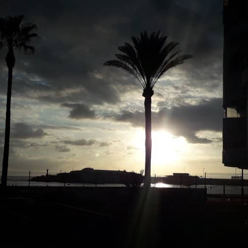 Whale & Dolphin Watching