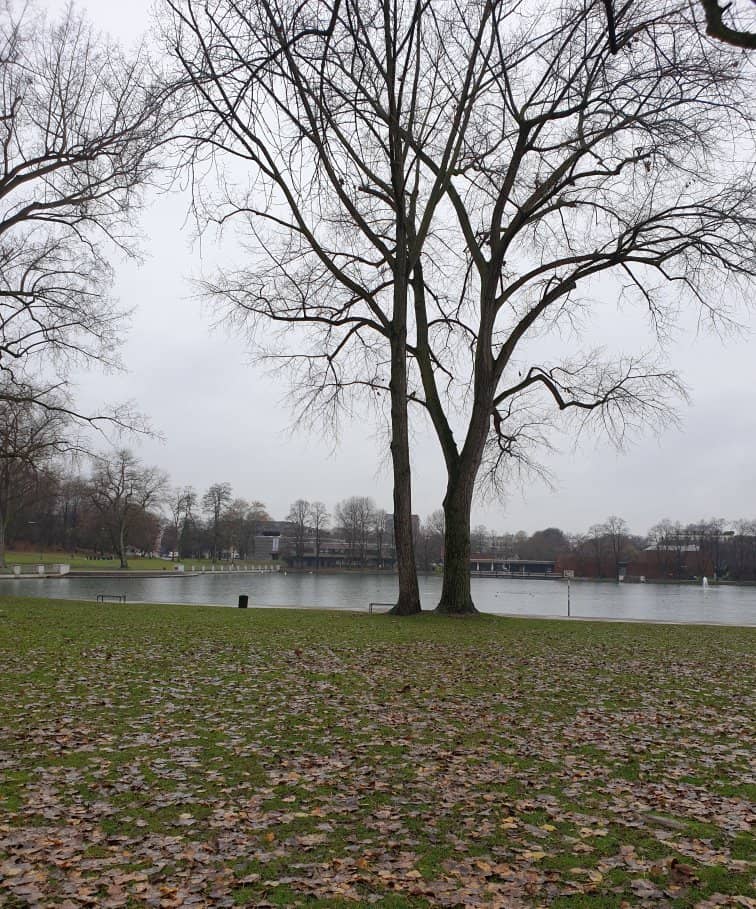 Green Spaces for Relaxation