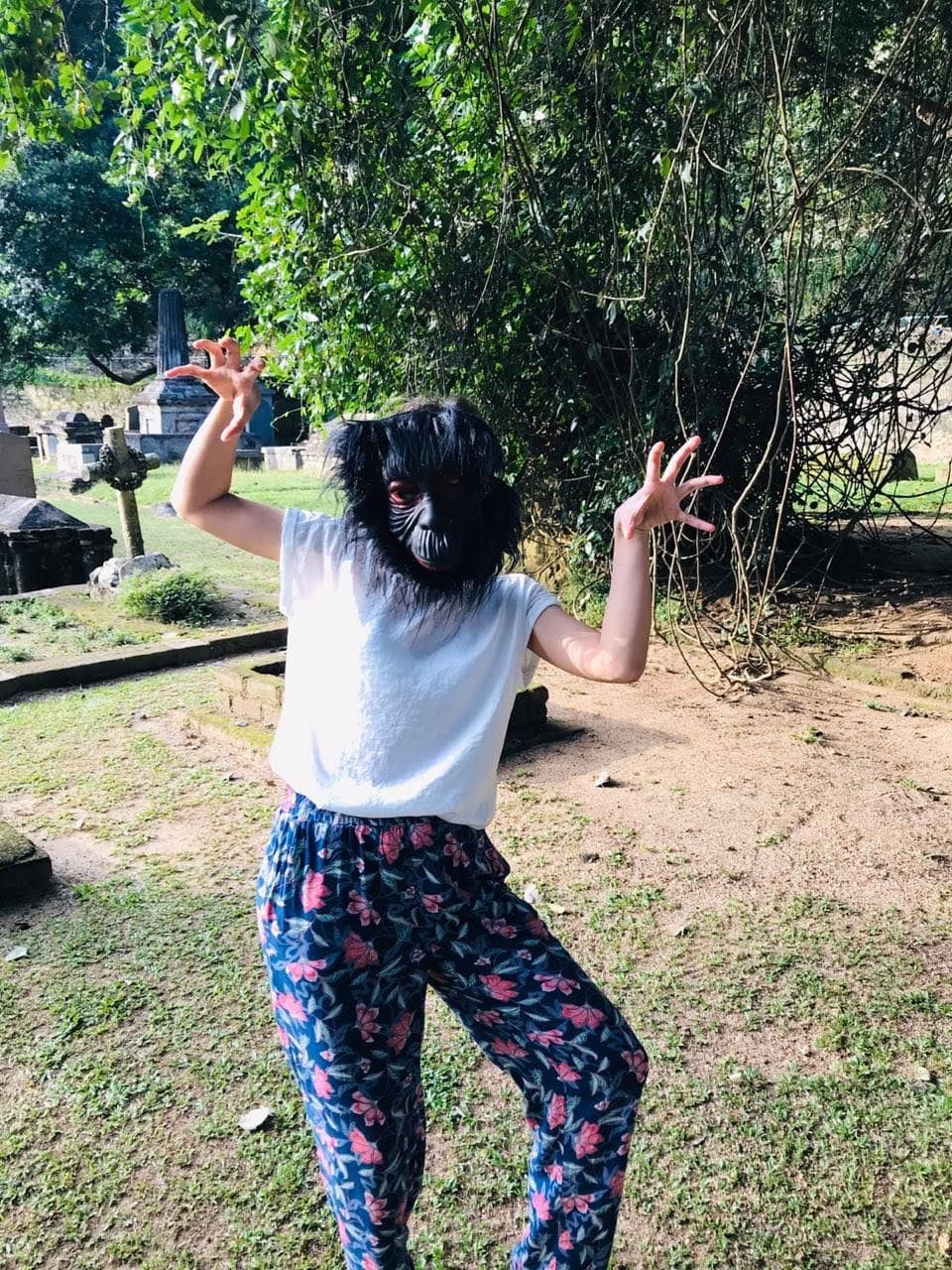 Forest Sanctuary Border