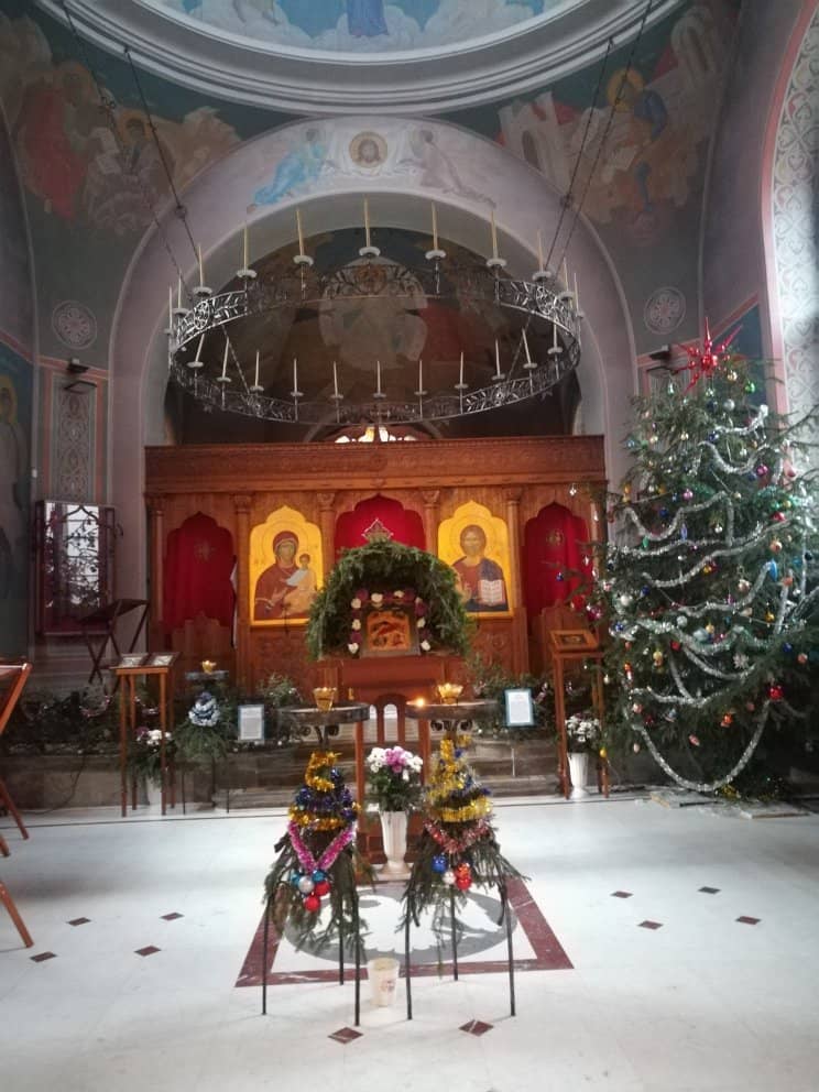 Well-Maintained Yard