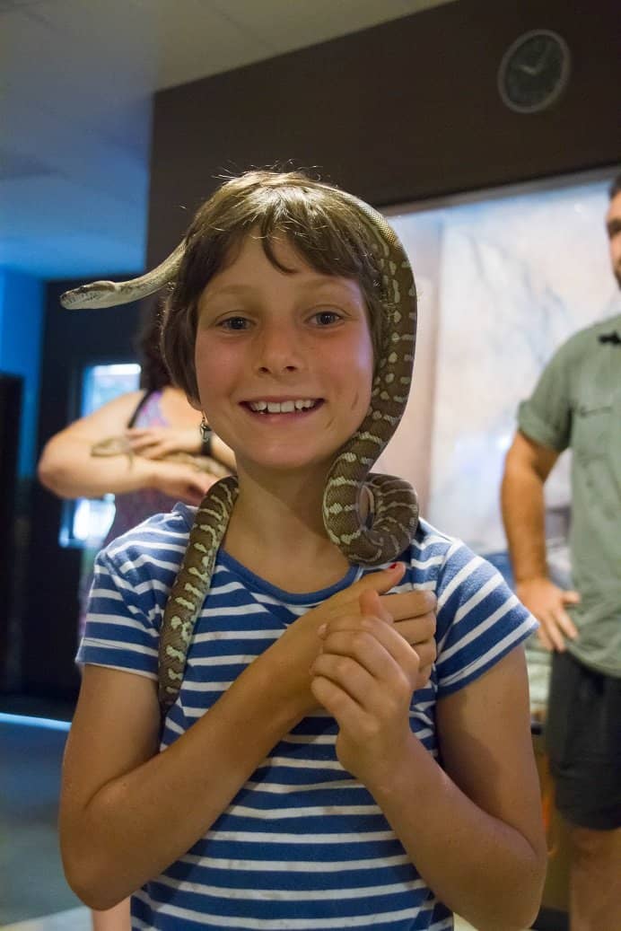 Reptile Shows & Feeding Times