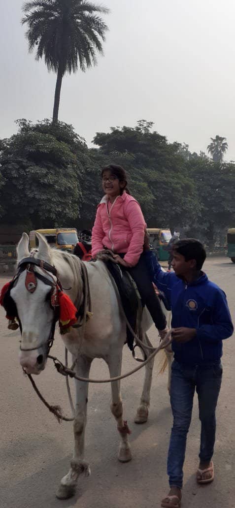 Peaceful Green Environment