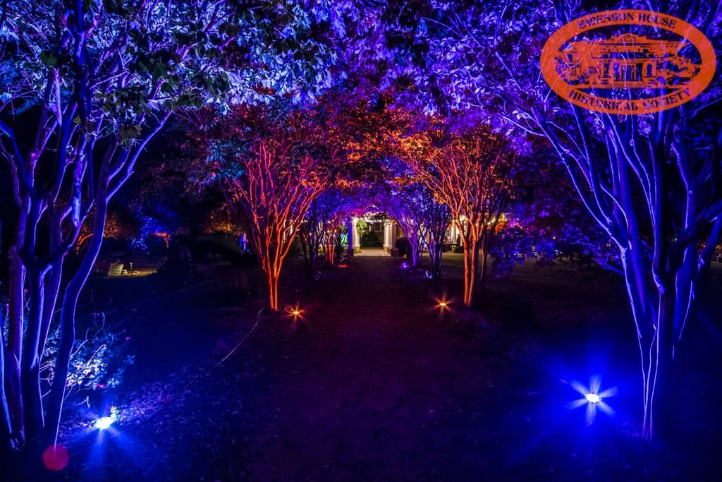 The Flamingo Bathroom