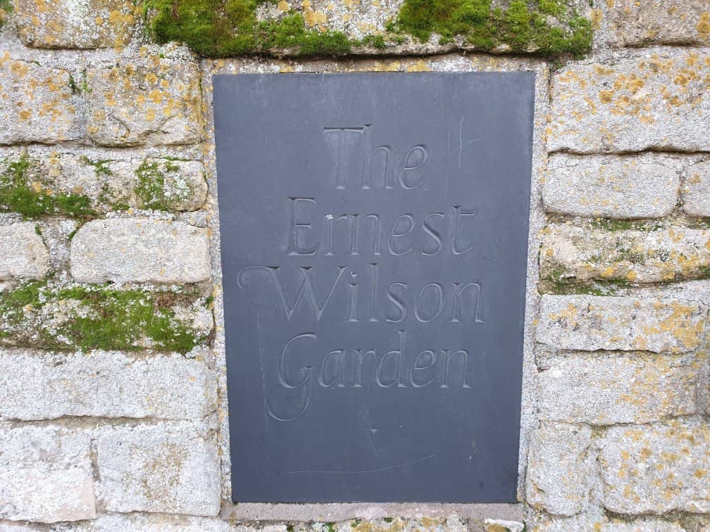 Plant Collector's Legacy