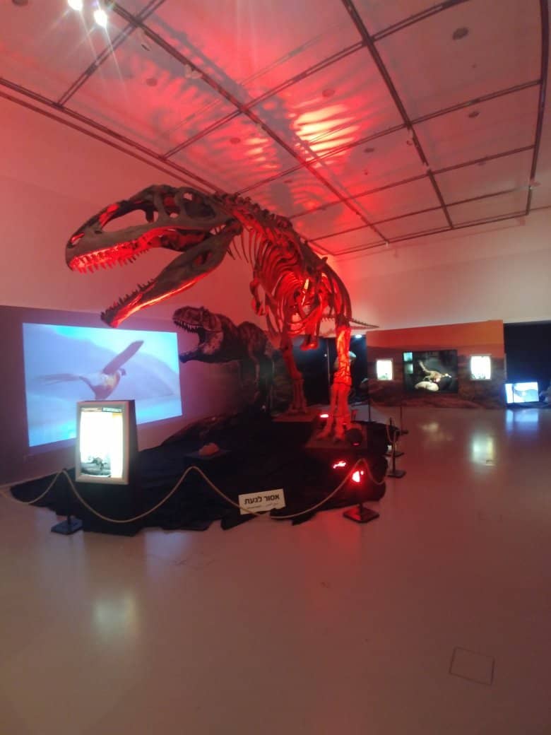 Ice Age Sculptures