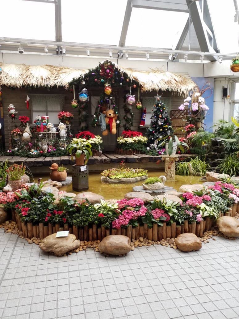 Desert and Rainforest Zones