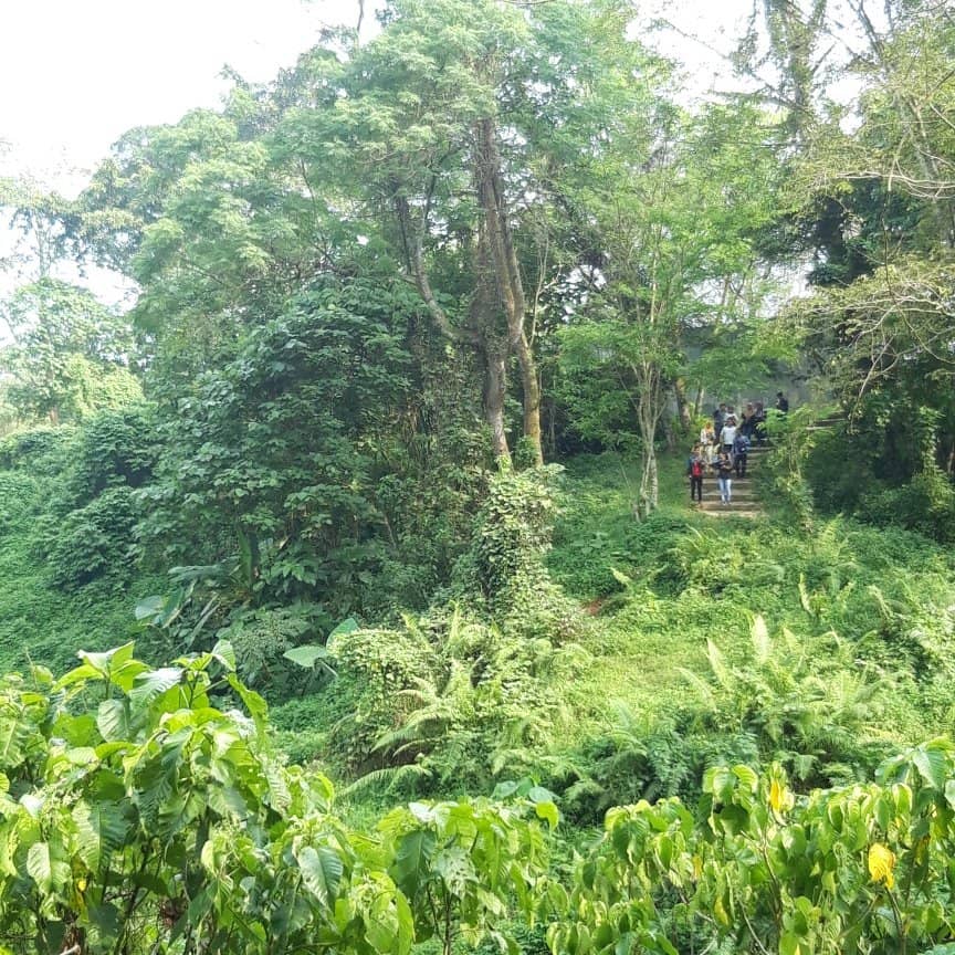 Vertical photo