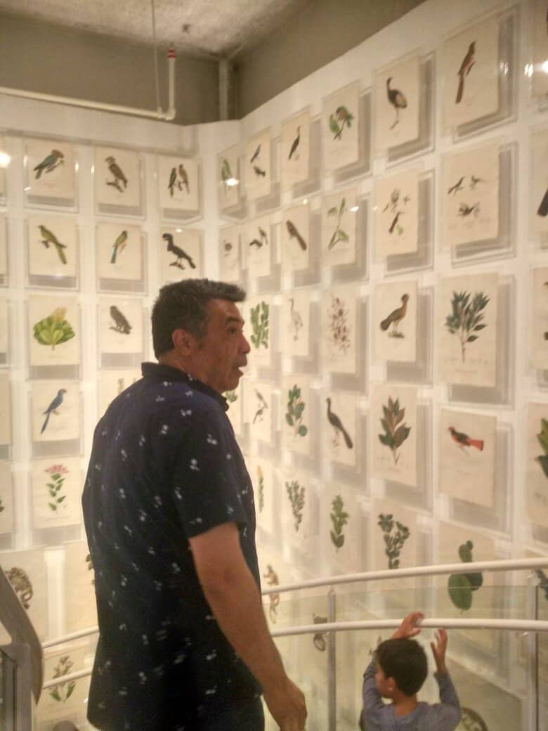 Brazilian History & Nature Collection