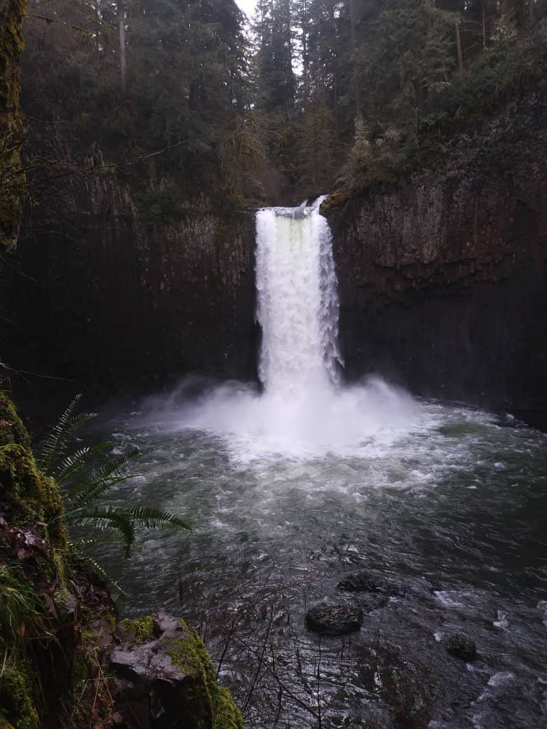 Upper Falls Surprise