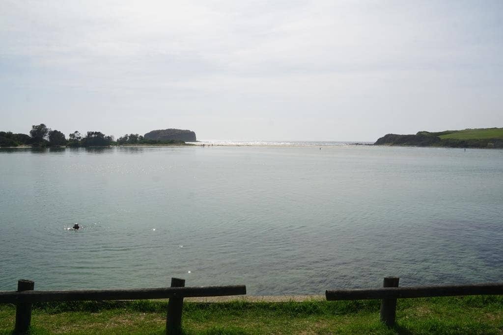 Whale Watching Platform