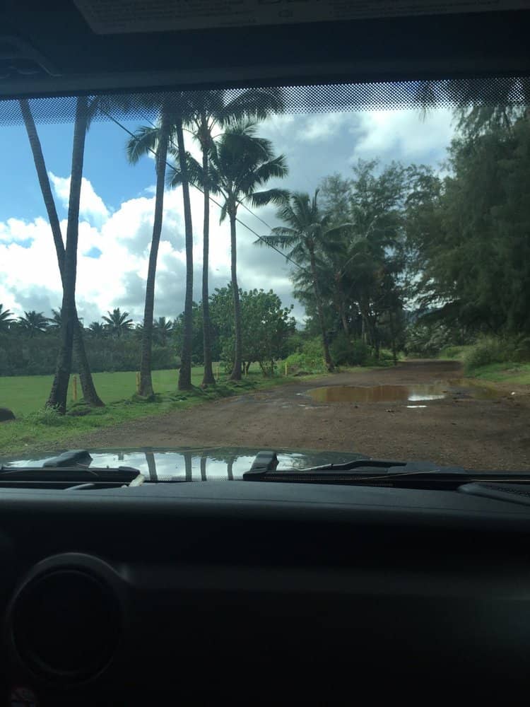 Gentle Waves for All